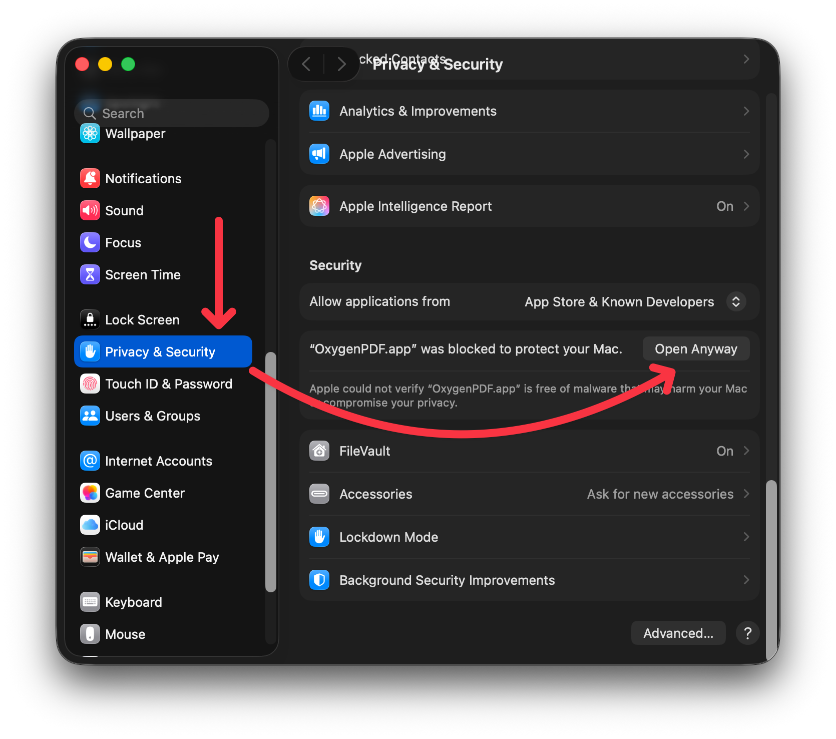 macOS System Settings Privacy & Security panel with Open Anyway button highlighted